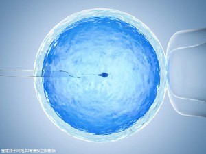 陈医生